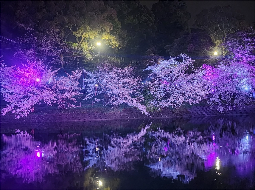 空間演出　イメージ写真